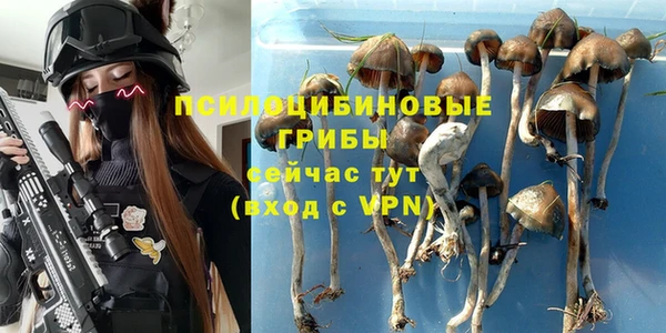 мескалин Алзамай