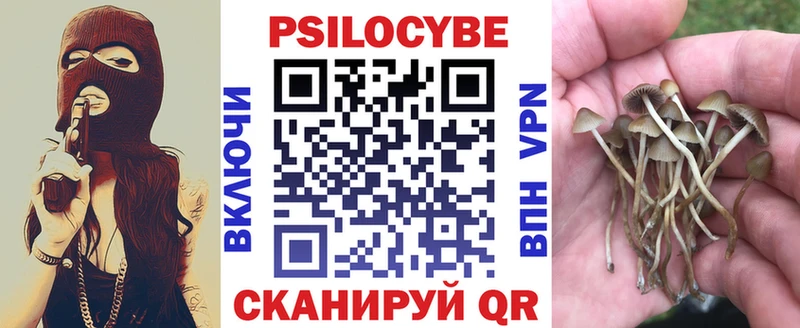 Псилоцибиновые грибы мухоморы Приморск